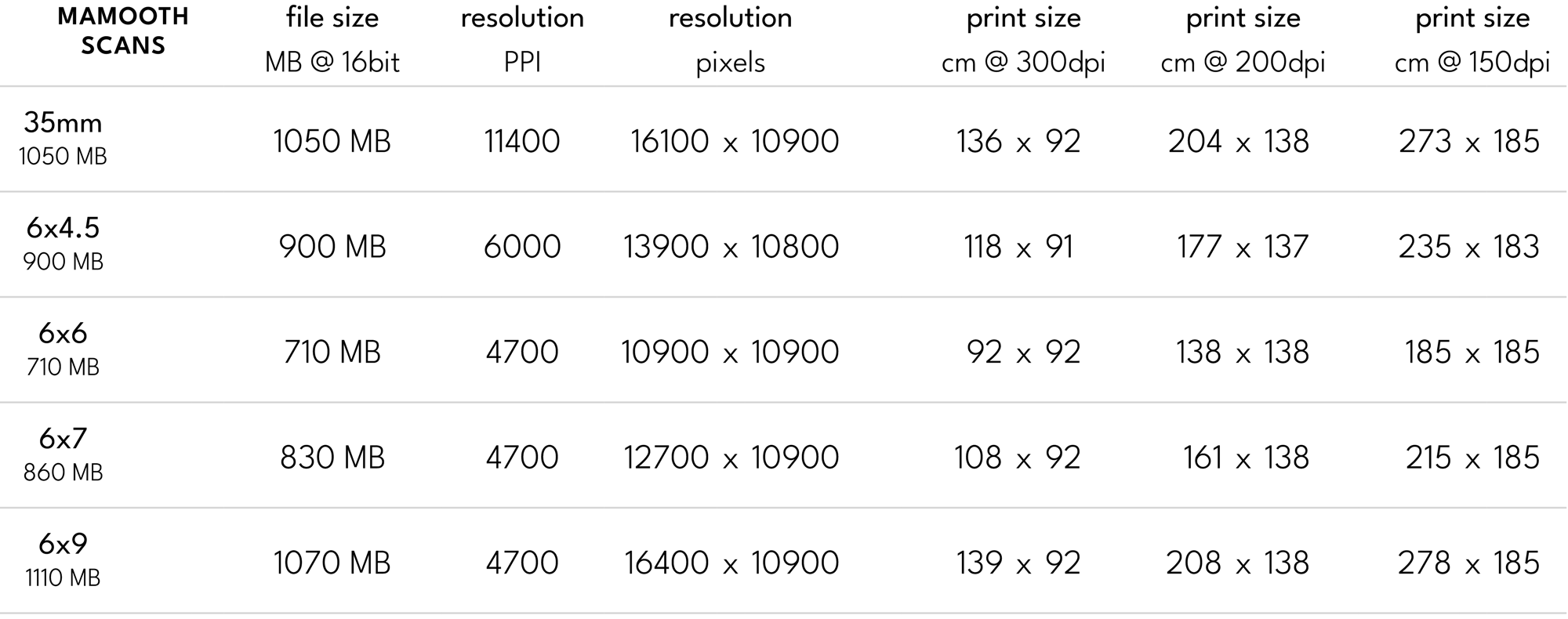 mammoth scan sizes table