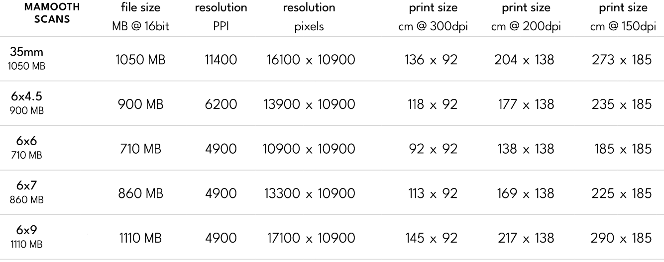 mammoth scan sizes table